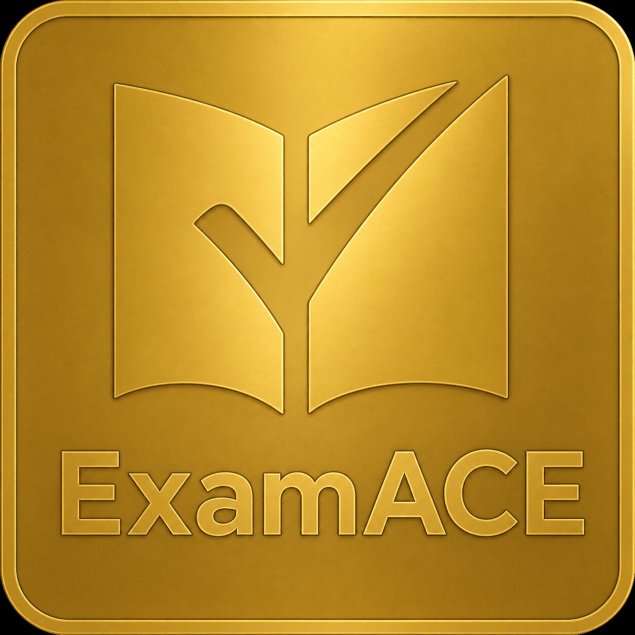 ExamACE